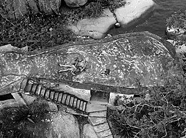 Gets Anal Pounded By With Angelina Valentine, Evelyn Buarque And Oscar Luz