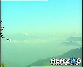 Retro Banging – HerzogVideos