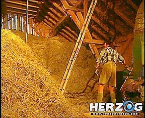 Retro Sex – HerzogVideos